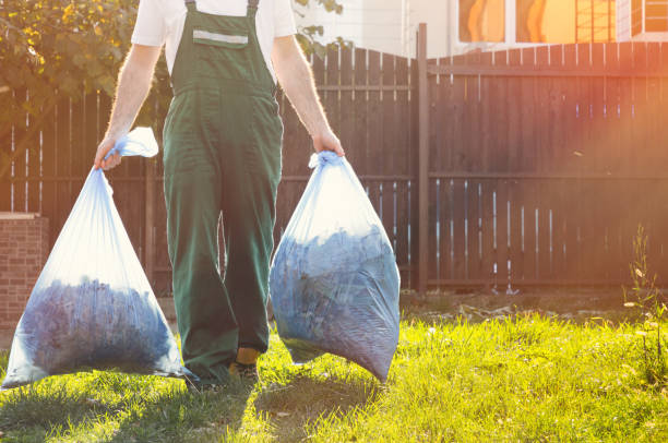 Best Shed Removal  in Batavia, IL